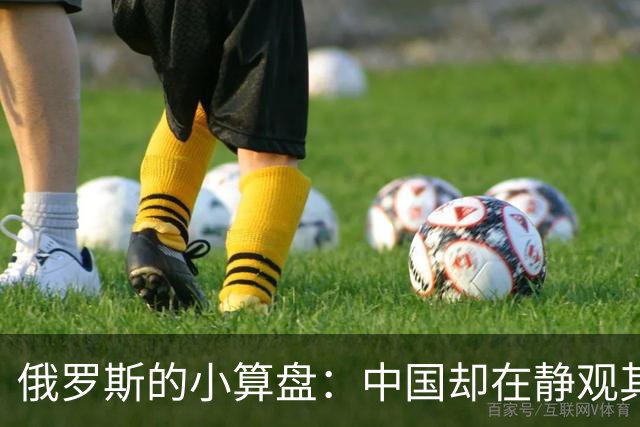 俄罗斯的小算盘：中国却在静观其变